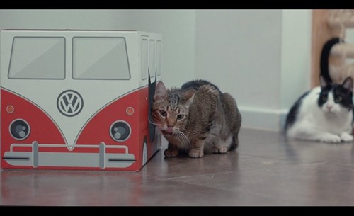 Volkswagen creates a van for cats
