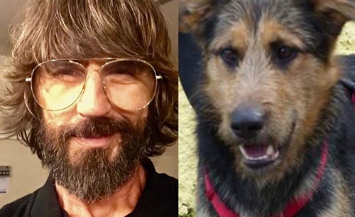 Campaña de adopción de tu doble canino