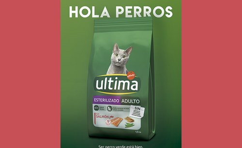 Ultima gatos responde a Perro verde